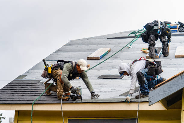 Professional Storm Damage Roof Repair technician working in Bradyville, TN